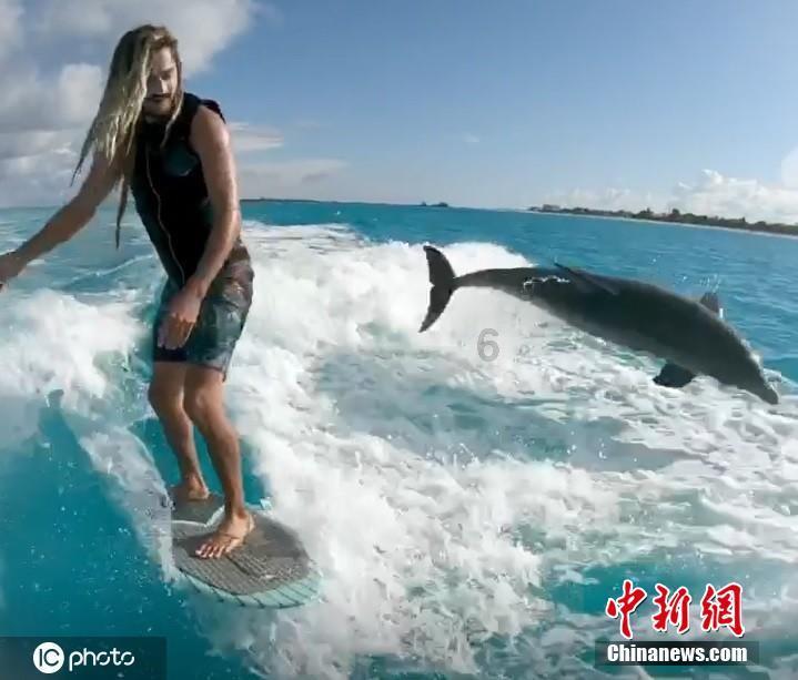 逗小猴开心系列209