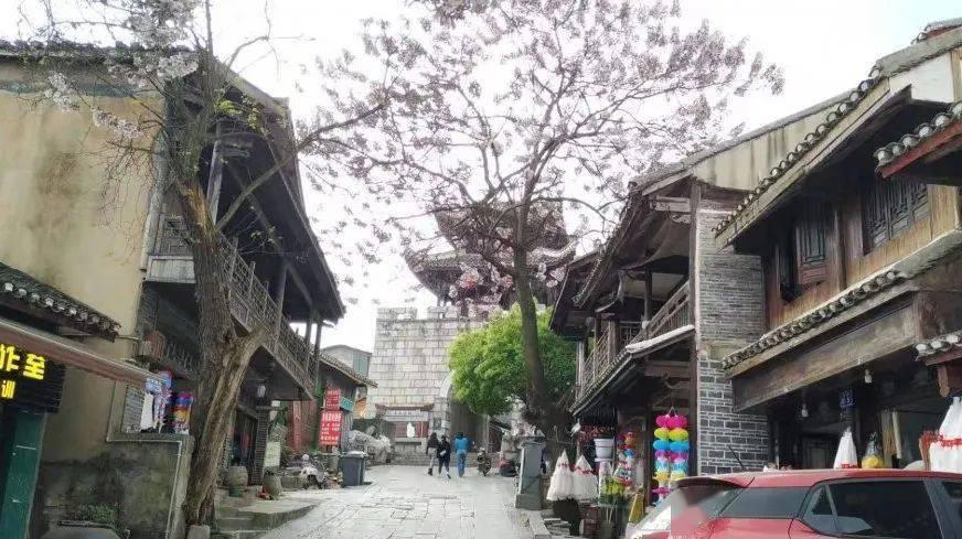 拯救可爱小鳄鱼